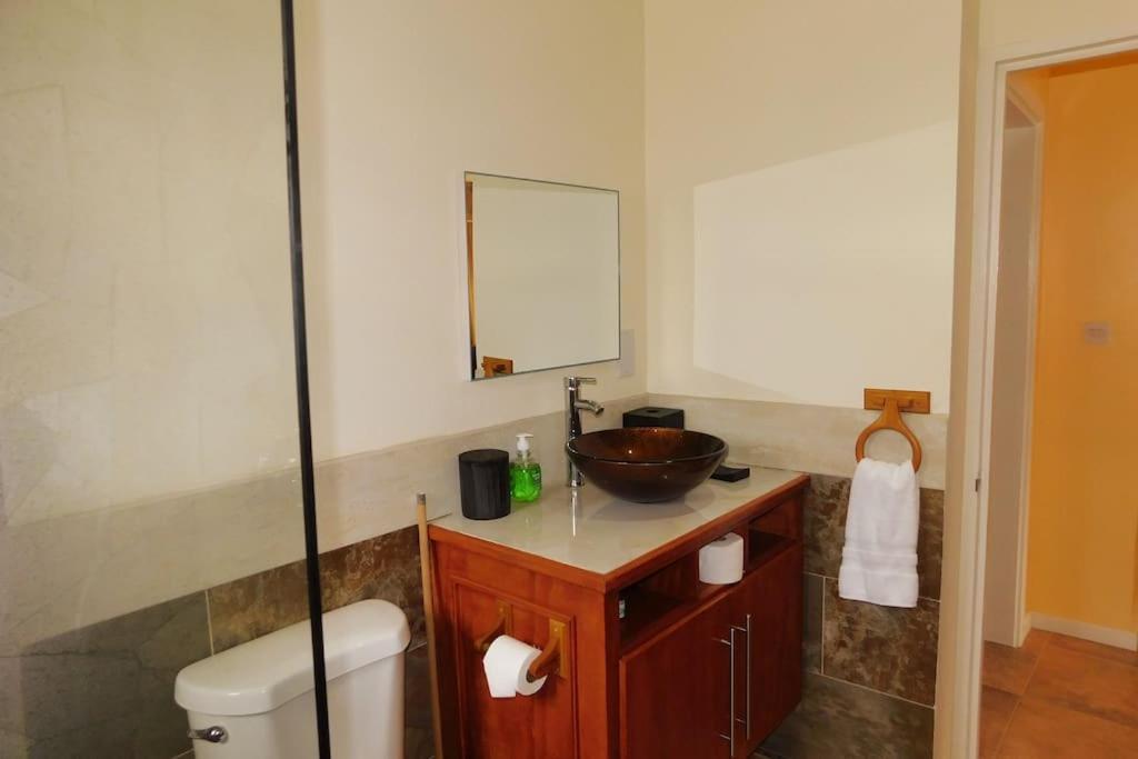 Tropical Home Oasis Σουφριέρ Εξωτερικό φωτογραφία