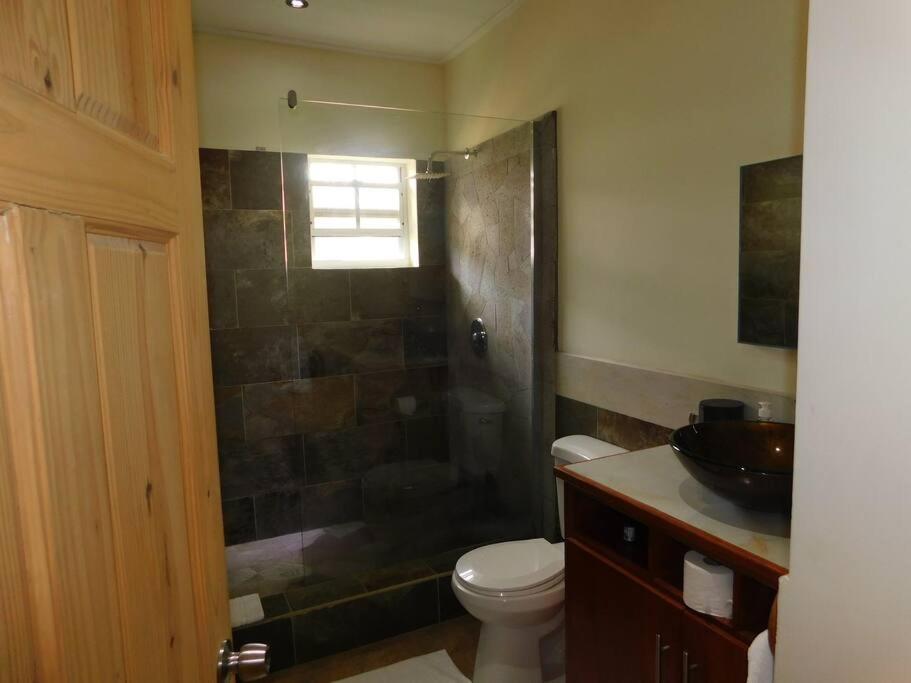 Tropical Home Oasis Σουφριέρ Εξωτερικό φωτογραφία