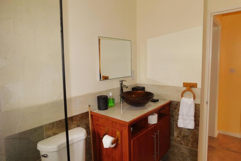 Tropical Home Oasis Σουφριέρ Εξωτερικό φωτογραφία